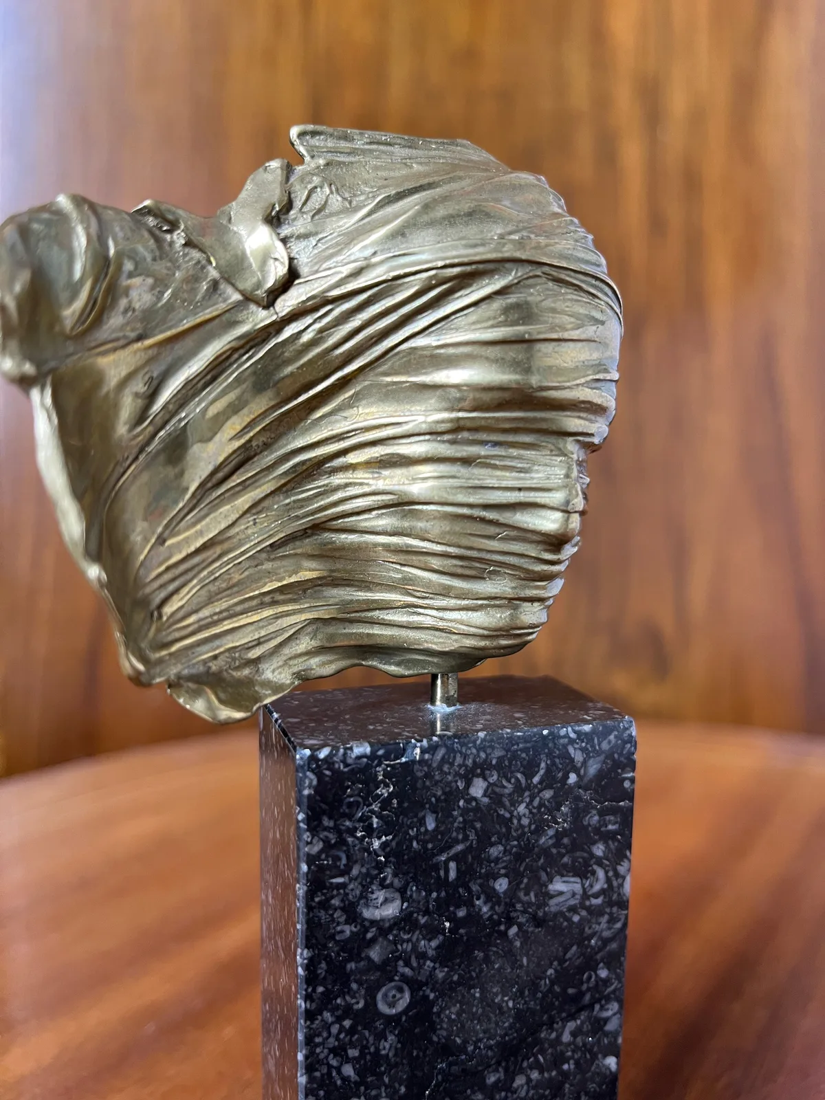 Visage Voilé — Mitoraj bronze, macro of the wrapping around the crown